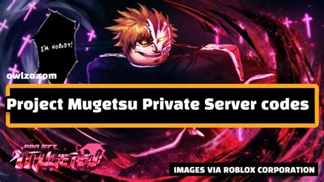 project mugetsu private server codes.